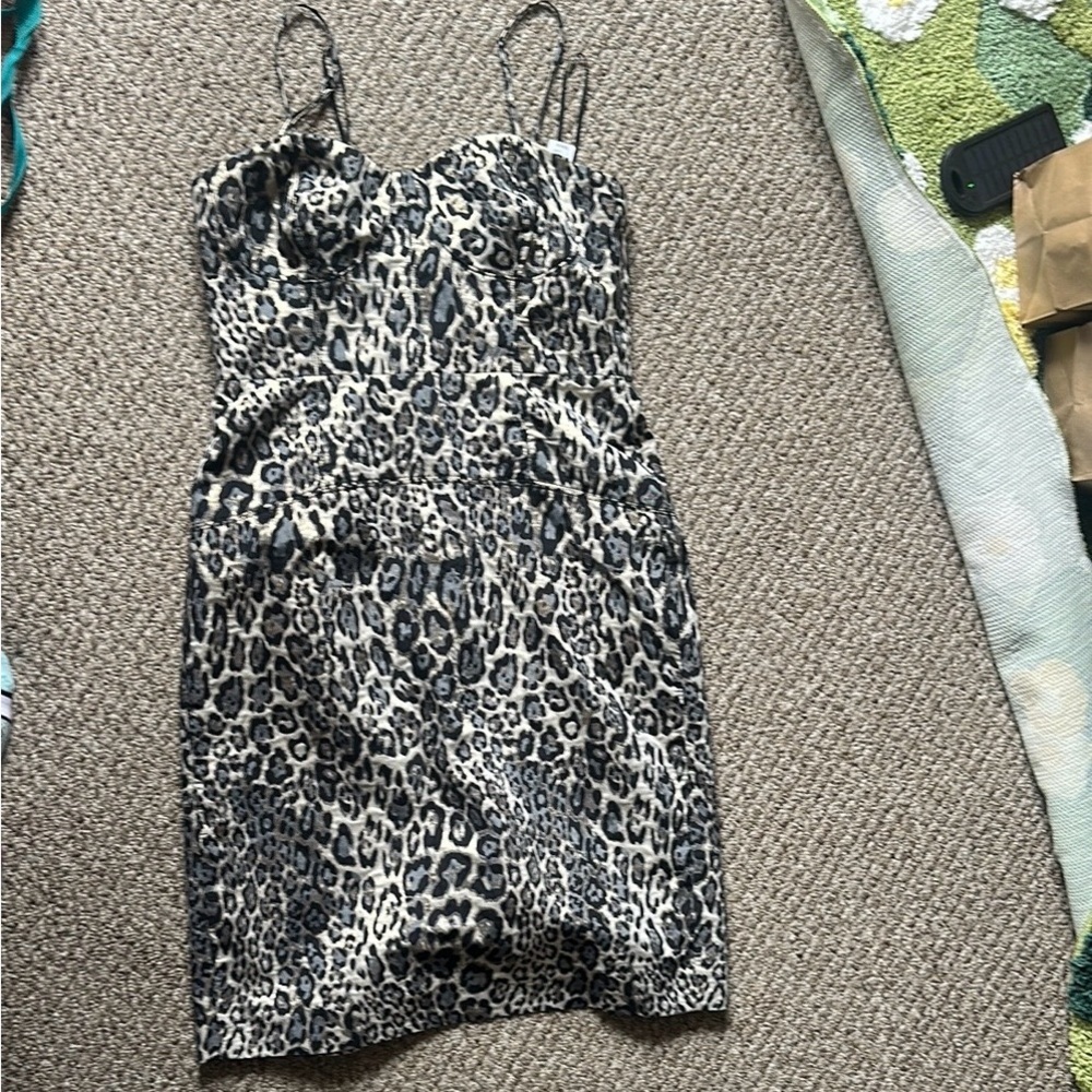 NWT J. Crew Leopard Print Dress